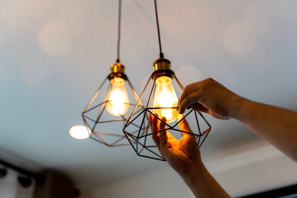 Best Electric Panel Repair  in Ste Genevieve, MO
